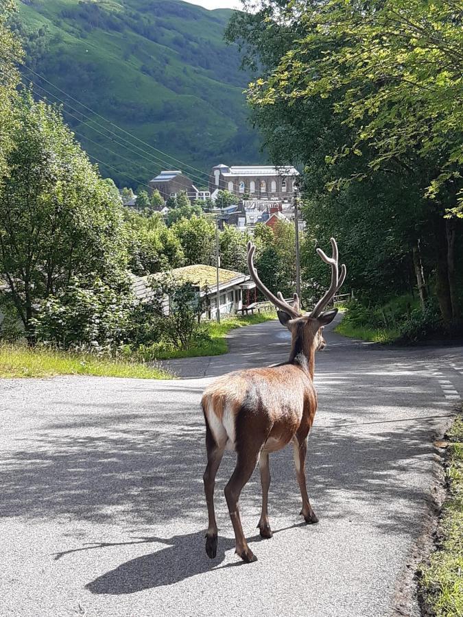 Riverside Pod, West Highland Way Holidays Kinlochleven Exterior foto